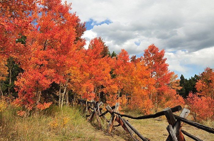 Fall in Colorado - Peak to Peak Hwy