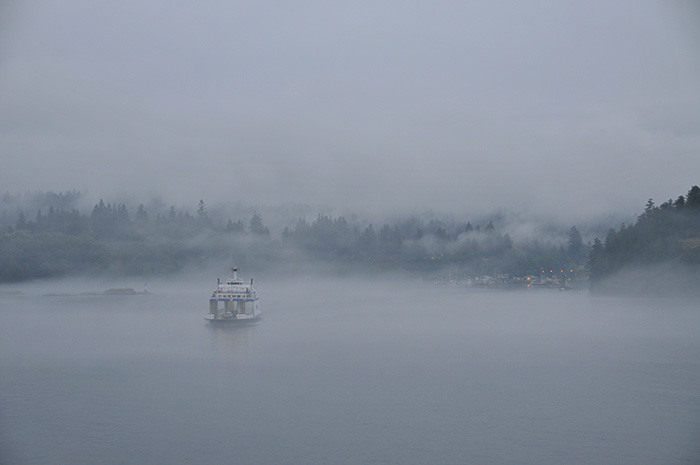 Misty Cove, Inland Passage