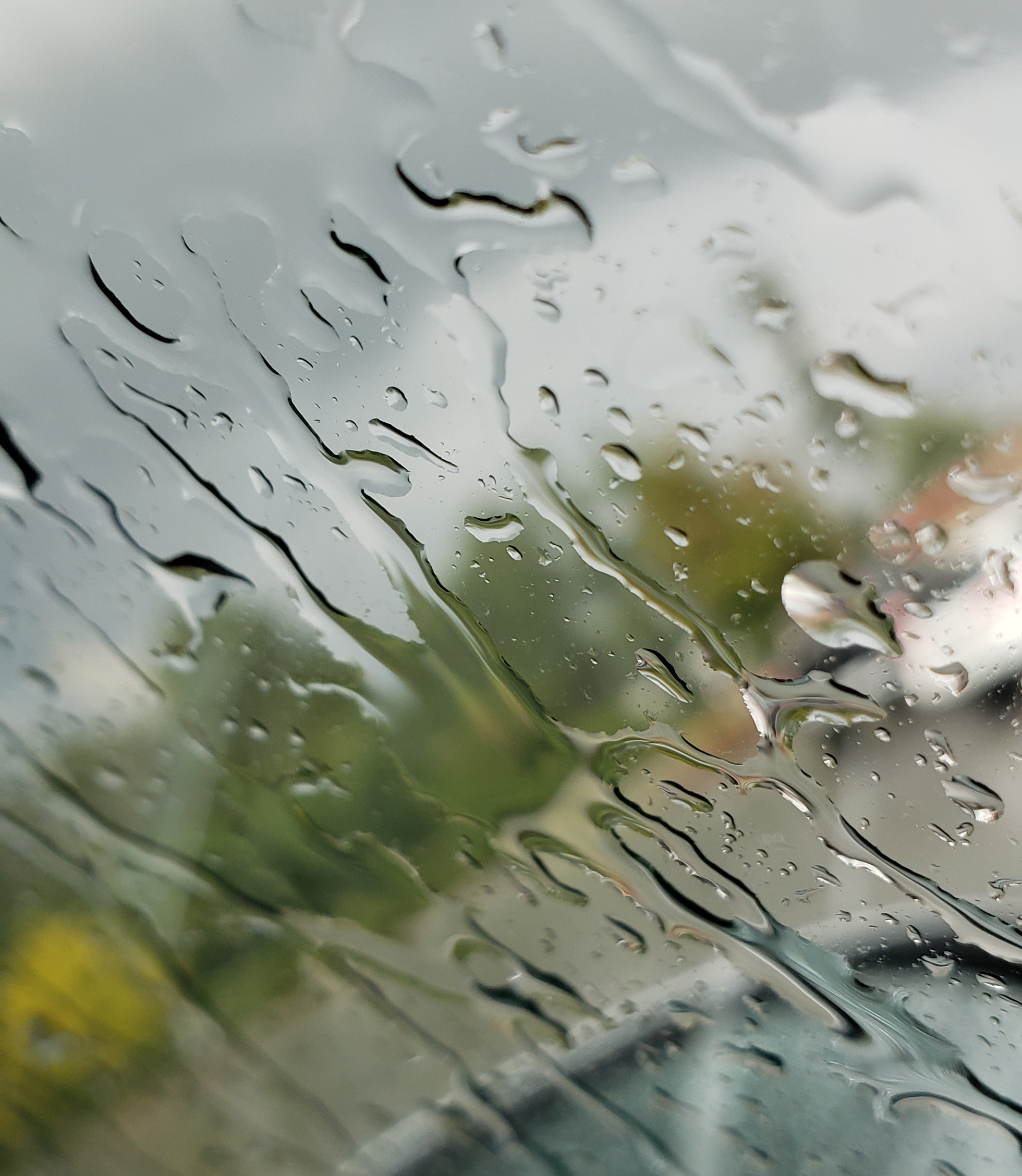 Rainy window