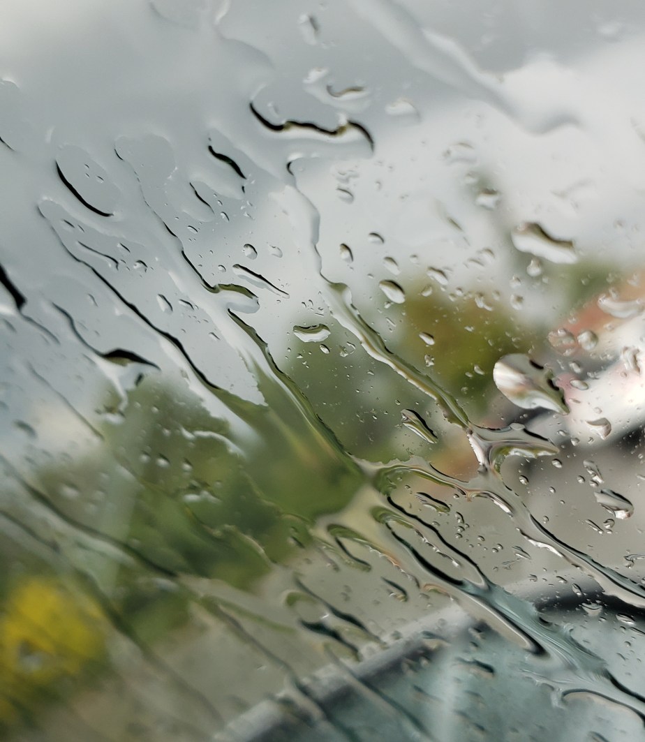 Rainy window